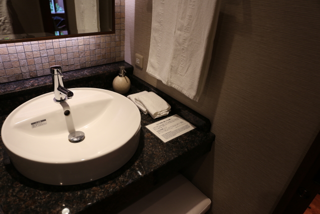 北海道ホテル　大人な雰囲気のシャワールーム