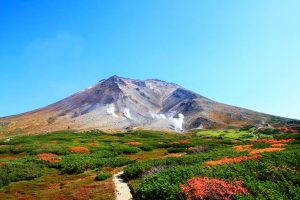噴煙を上げる山頂付近の山肌と鮮やかな紅葉のコントラストが美しい旭岳