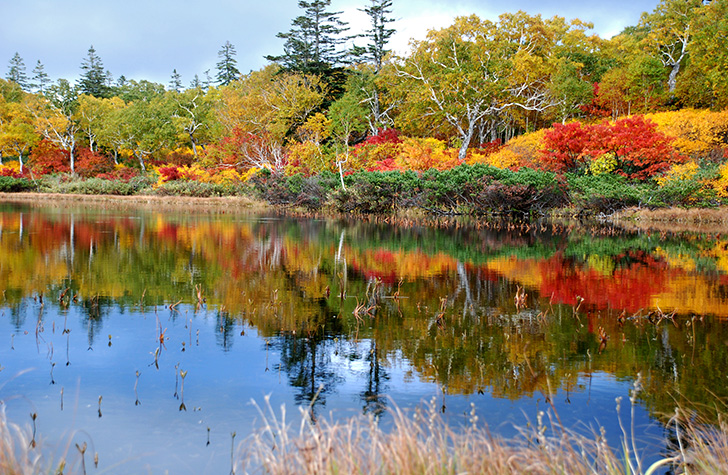 ニセコ神仙沼の美しい紅葉
