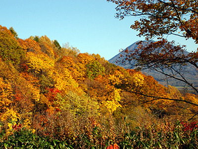 ニセコグランヒラフ、サマーゴンドラから眺める紅葉