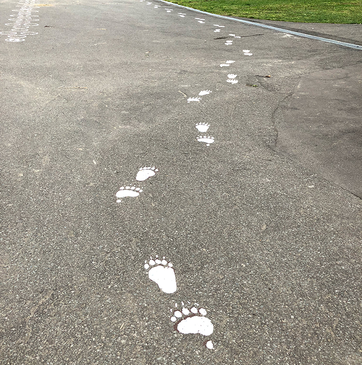 かわいい熊の足跡