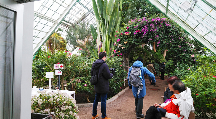 植物園の温室