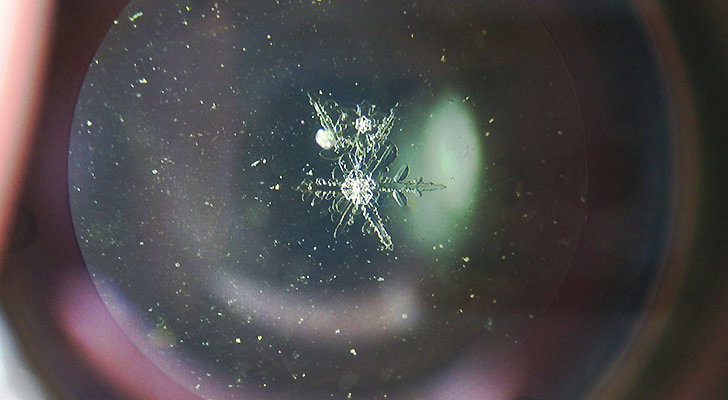 顕微鏡をのぞくと神秘的な雪の結晶が