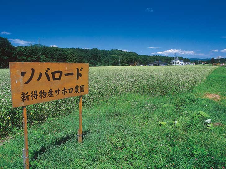 【新得町】そばロード