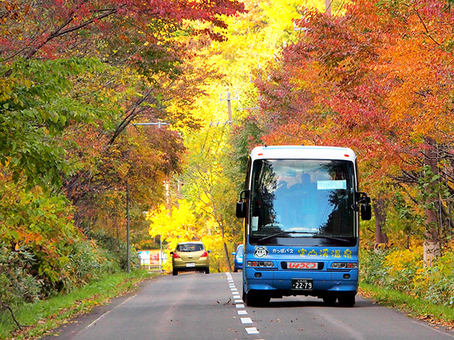 定山渓の紅葉の中を走るかっぱバス