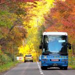 紅葉の中を走る定山渓紅葉かっぱバス