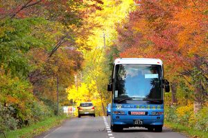 紅葉の中を走る定山渓紅葉かっぱバス