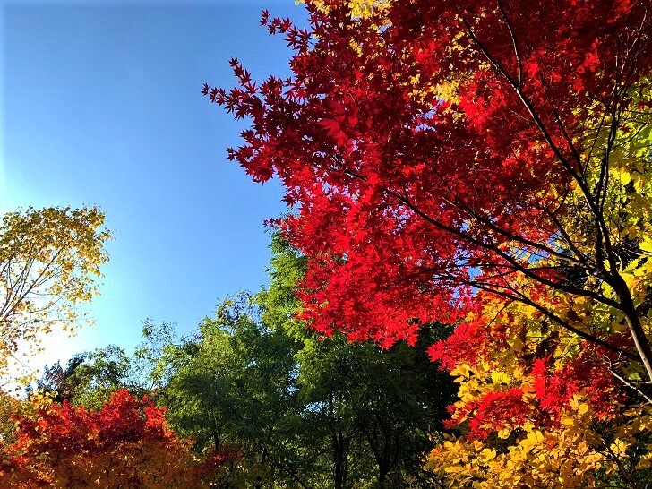 定山渓二見公園の紅葉の写真