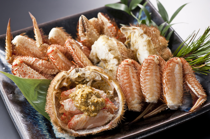 【20,000円の寄附】／北海道産活蒸し毛がに2尾セット（各400g）／えりも町
