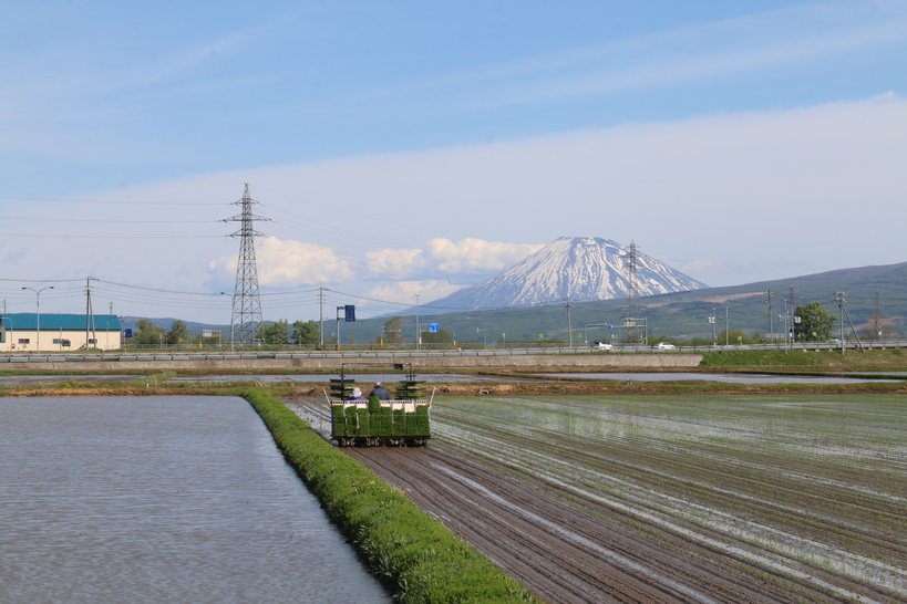 共和町：田園風景