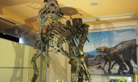 むかわ町穂別博物館　カムイサウルス・ジャポニクス