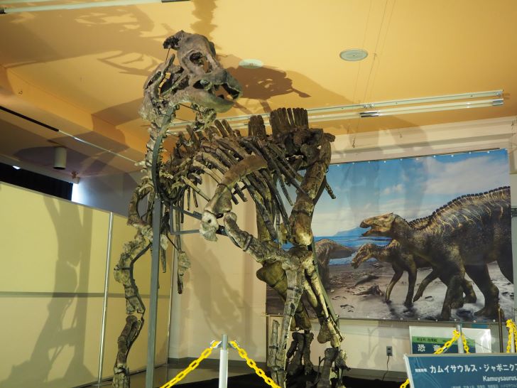 むかわ町穂別博物館　カムイサウルス・ジャポニクス