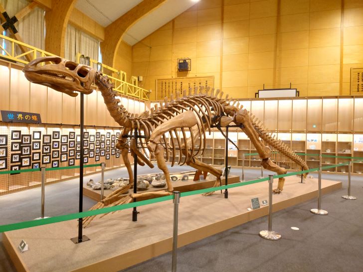マウレ・メモリアル・ミュージアム　恐竜展示