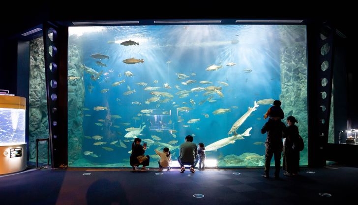 サケのふるさと千歳水族館　館内大水槽