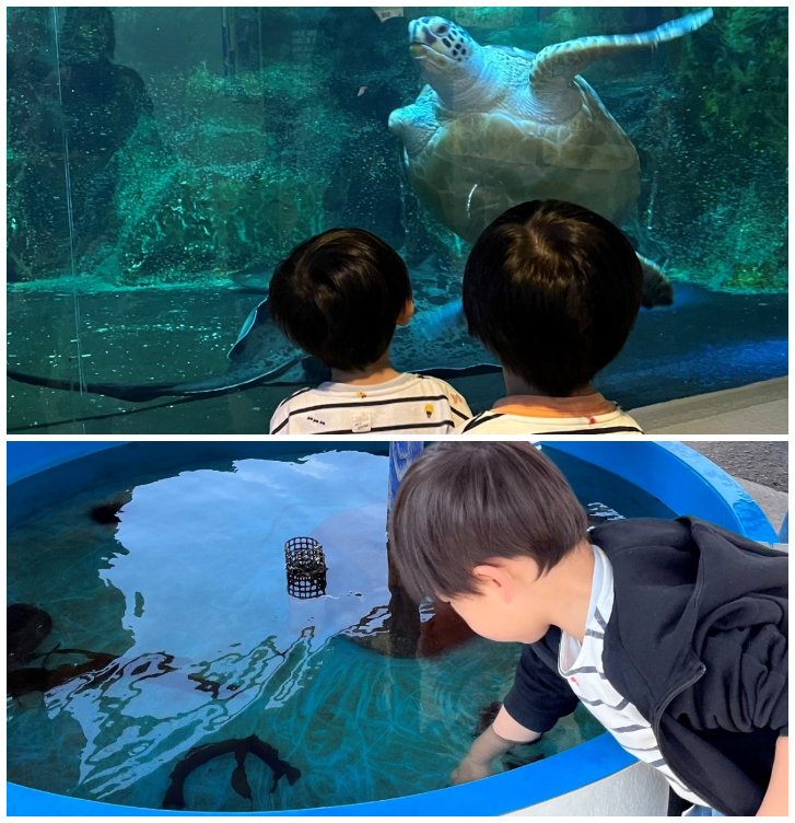 みんみさん　おたる水族館