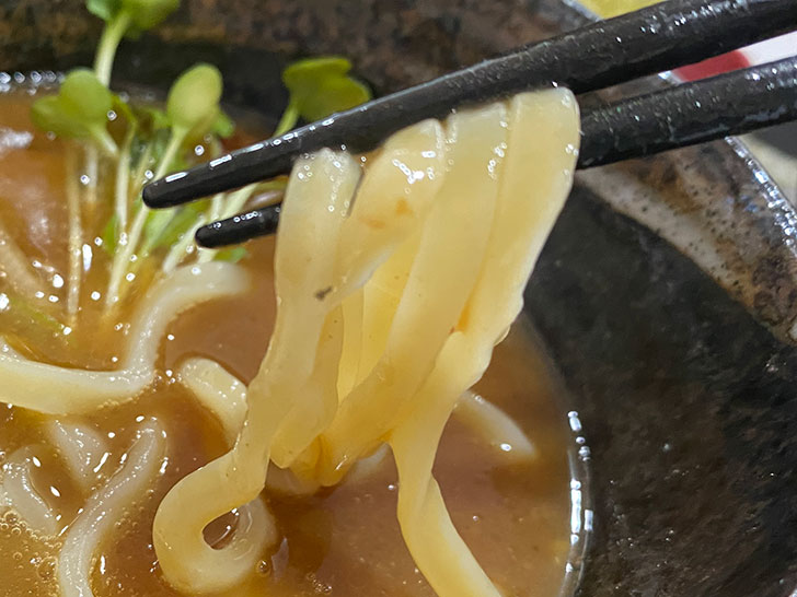 中華蕎麦辰巳屋　つけ麺Light～原点元味～　つけ麺