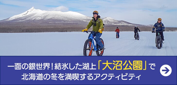 一面の銀世界！結氷した湖上「大沼公園」で 北海道の冬を満喫するアクティビティ