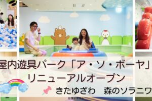 ソラニワ　アソボーヤ