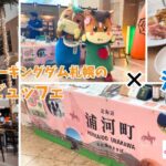 ガトキン　浦河町