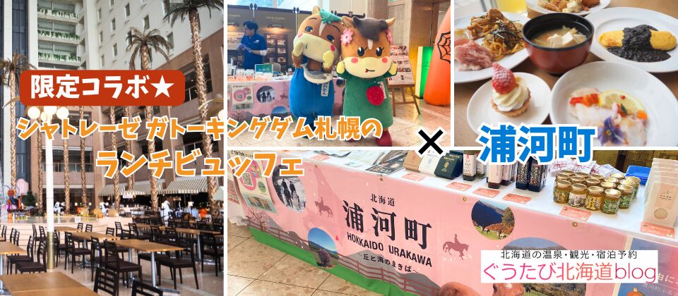 ガトキン　浦河町