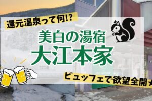 美白の湯宿　大江本家_宿泊レポート