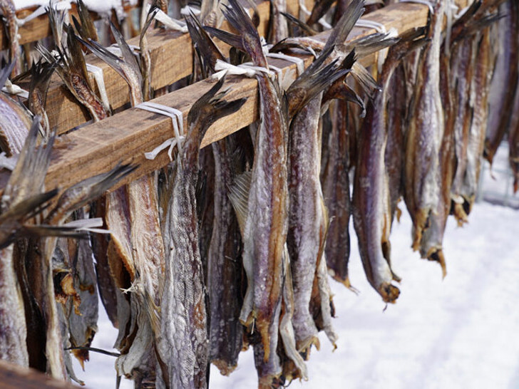 鹿部町観光協会 