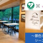 シーニックカフェ_アイキャッチ