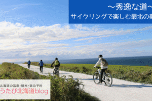 宗谷_シーニックバイウェイ